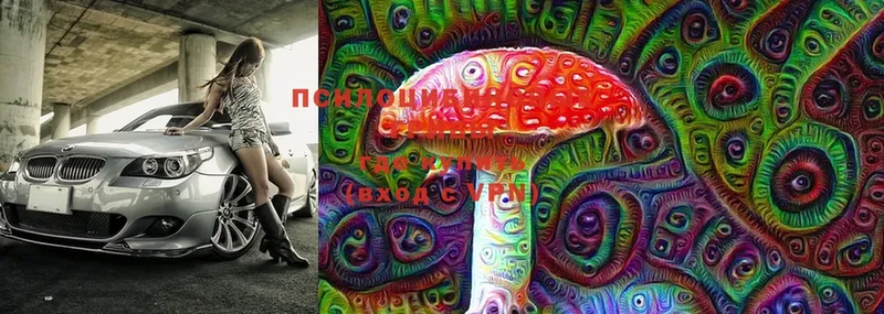 Галлюциногенные грибы MAGIC MUSHROOMS  МЕГА   Калининск  хочу  